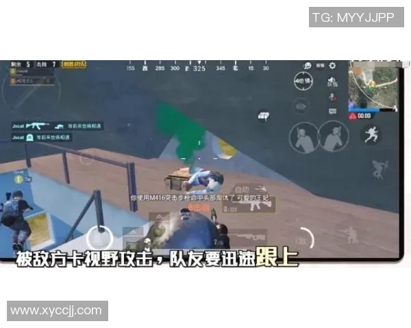 CSGO专题解析LNG战队的快速崛起与战术创新之路